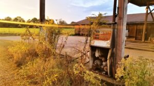 Old gas pump rusted and abandoned