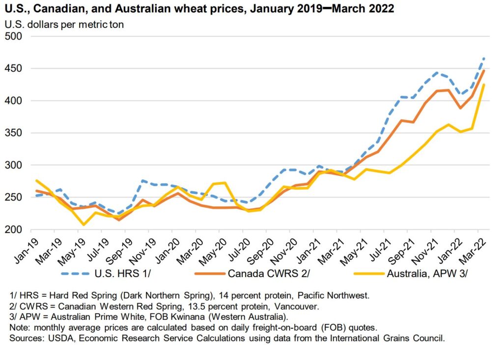 Wheat prices soar after the invasion of Ukraine